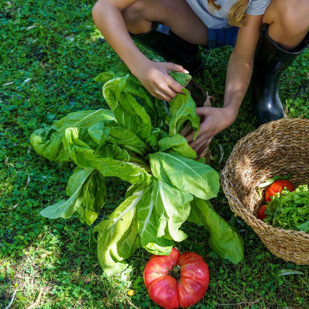 Des conseils simples pour améliorer l’alimentation de vos enfants Image