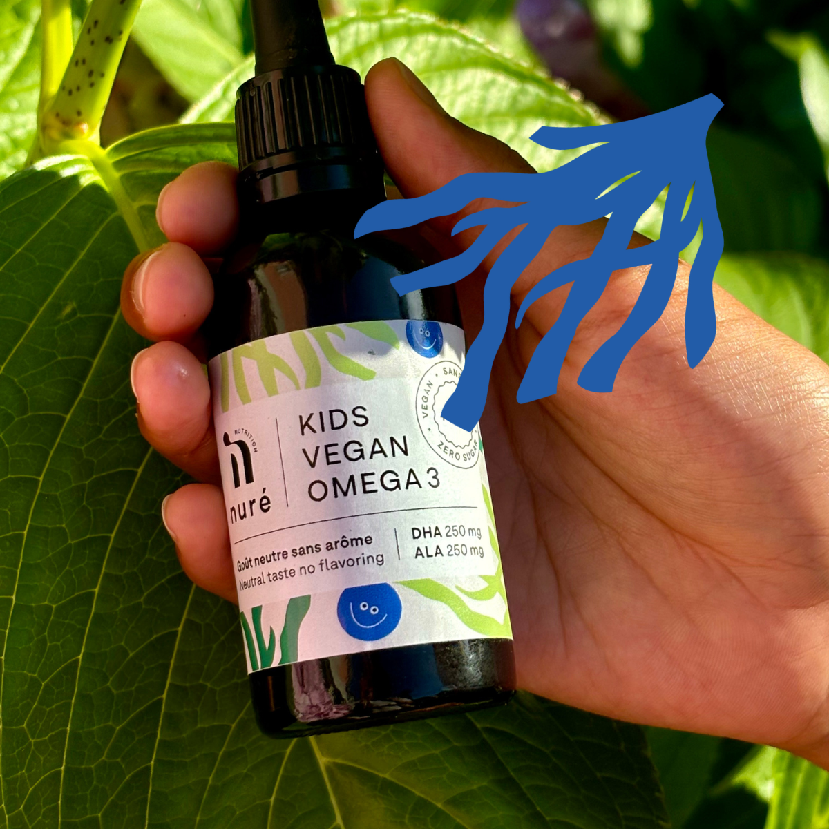 La supplémentation en Oméga-3 dépend de la consommation de poisson, pas de la saison